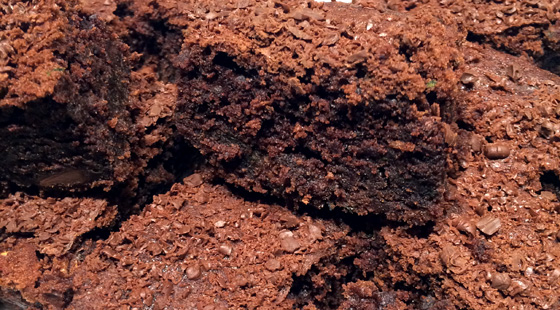 Chokoladekage med Squash opskrift